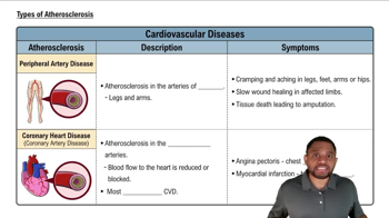 Types of Atherosclerosis Concept 3