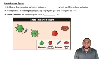 Innate Immune System Concept 4