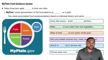 MyPlate Food Guidance System Concept 2