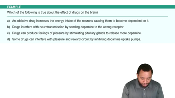 How Drugs Affect the Brain Example 2