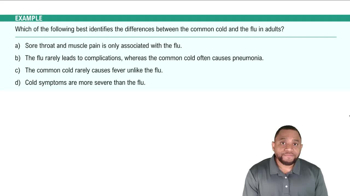 Viral Infections Example 1