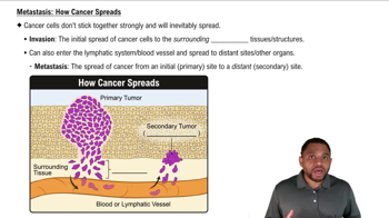 Metastasis: How Cancer Spreads Concept 2