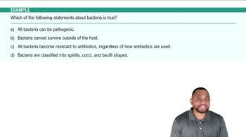 Introduction to Bacteria Example 1