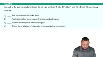 Adaptive Immune System Example 4