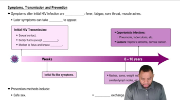 Symptoms, Transmission and Prevention Concept 3