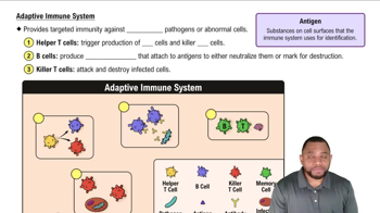 Adaptive Immune System Concept 5