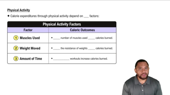 Physical Activity Factors Concept 3