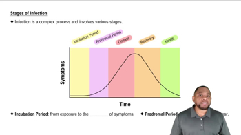Stages of Infection Concept 2