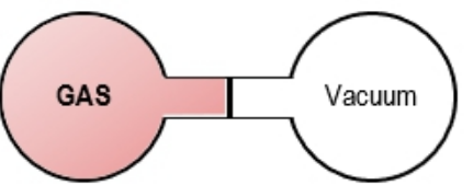 Hourglass container with gas on left side and vacuum on right, separated by barrier that is suddenly removed.