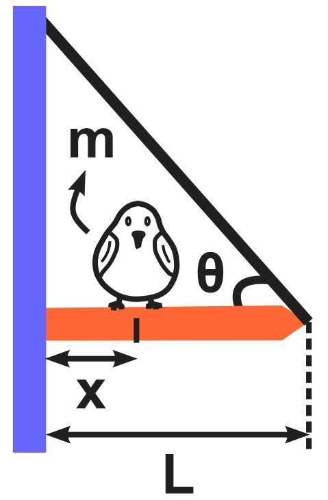 Diagram showing a bird on a sign post, illustrating forces in rotational equilibrium.