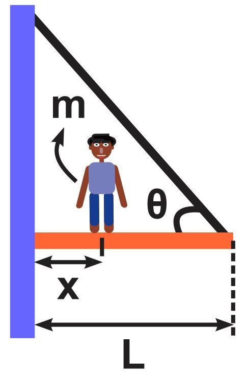 Illustration of a diver on a beam at angle θ, showing forces and distances x and L.