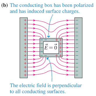 Illustration of a polarized conducting box with induced surface charges and zero electric field inside, surrounded by field lines.