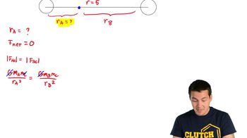 Where is Net Force on middle object zero?