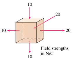 Cube with electric field vectors showing strengths of 10 N/C on three faces and 20 N/C on two faces.