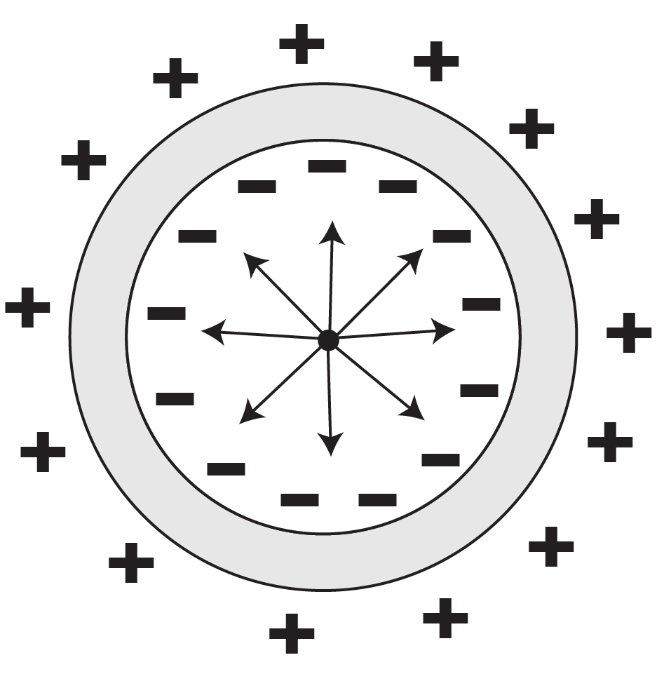 Spherical shell with negative charges inside and positive charges outside, showing electric field lines pointing outward.