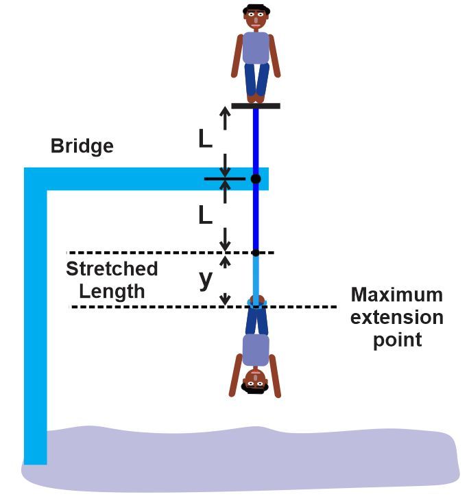 Diagram showing a bungee jumper, bridge, and extension points labeled L and y.