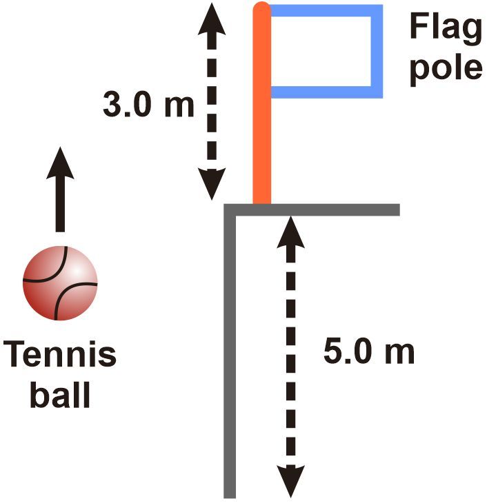 A tennis ball is hit vertically, passing a 3.0 m flagpole, with height markers at 5.0 m.