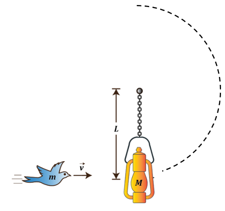 A blue bird with mass m flying towards a lantern of mass M hanging from a chain of length L.