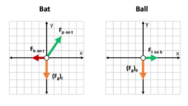 Free-body diagram of a bat with action/reaction forces labeled.