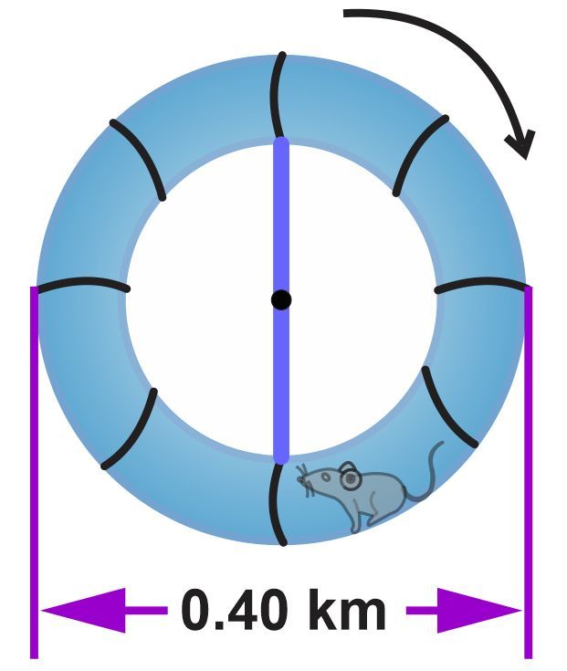 Illustration of a rotating ring torus in space with a mouse inside, showing a diameter of 0.40 km.