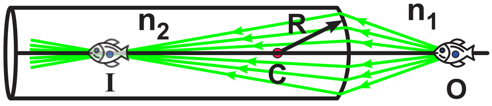 Diagram showing light reflection in a cylindrical tube with fish and refractive indices.