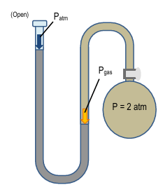 U-shaped manometer with mercury showing 40 cm height difference, one end open, other connected to 2 atm gas.