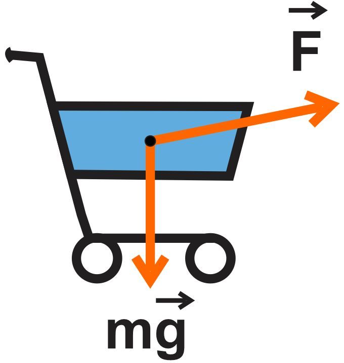 Free-body diagram of a cart with force F and weight mg acting downwards.