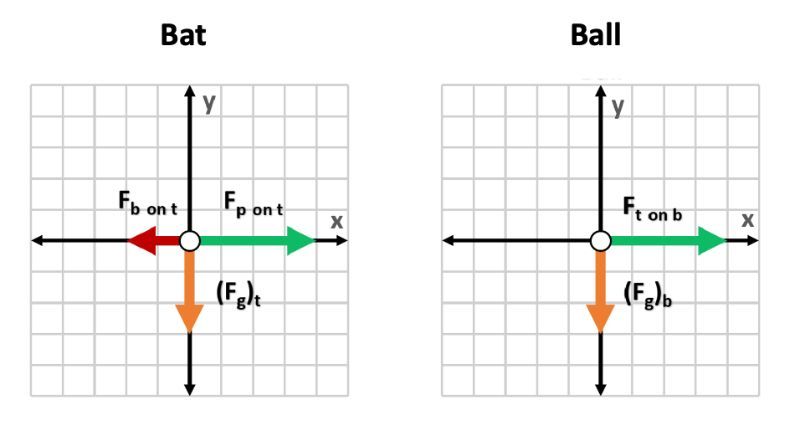 Free-body diagram of a bat showing forces acting on it.