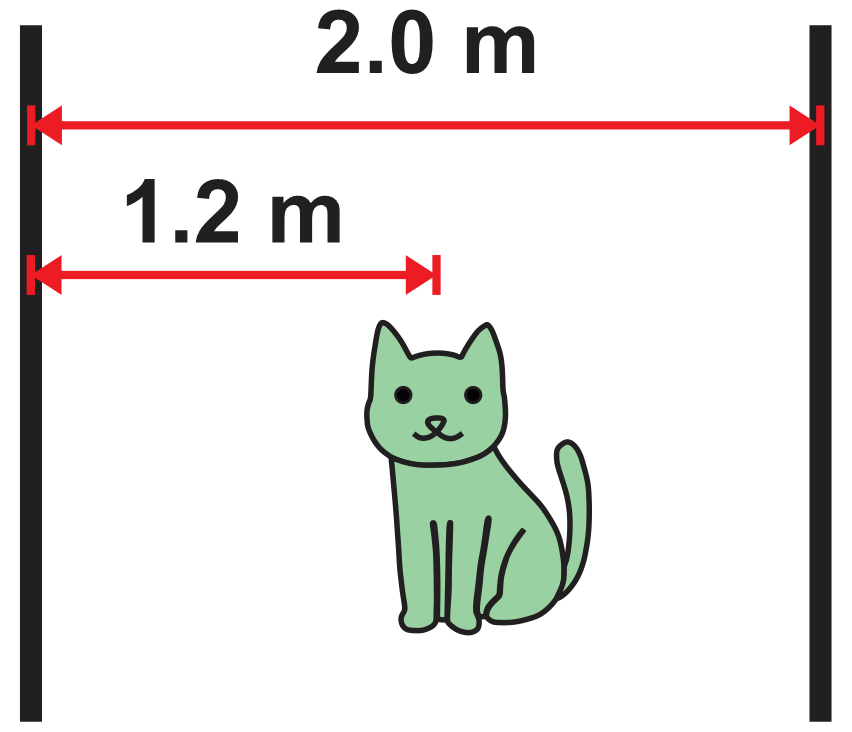 Illustration showing a cat 1.2 m from two parallel mirrors, 2.0 m apart, for light reflection study.