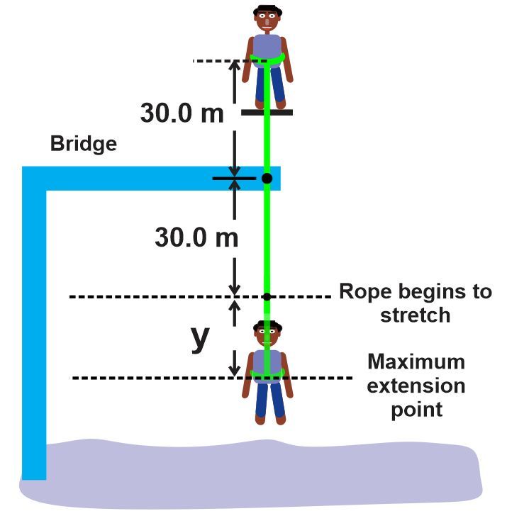 Diagram showing a thrill-seeker jumping from a 30m platform with an elastic rope, illustrating maximum extension.