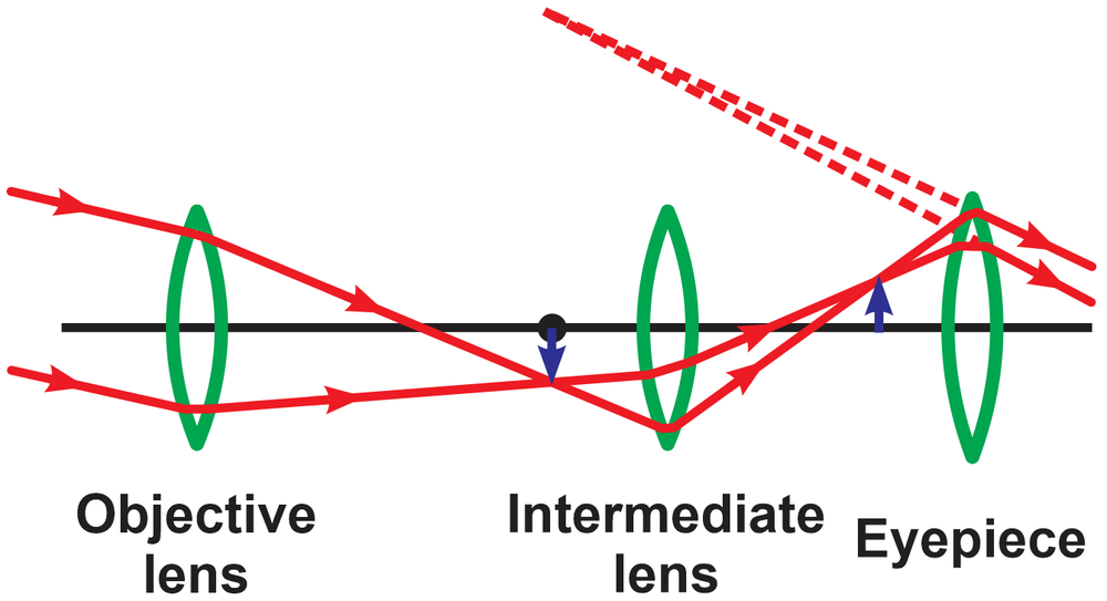 Diagram showing a compound lens system with objective, intermediate, and eyepiece lenses for photography.