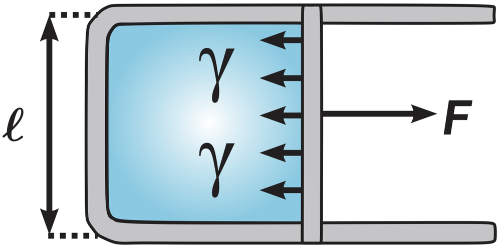 Diagram illustrating surface tension in a soap film with force and length labeled.