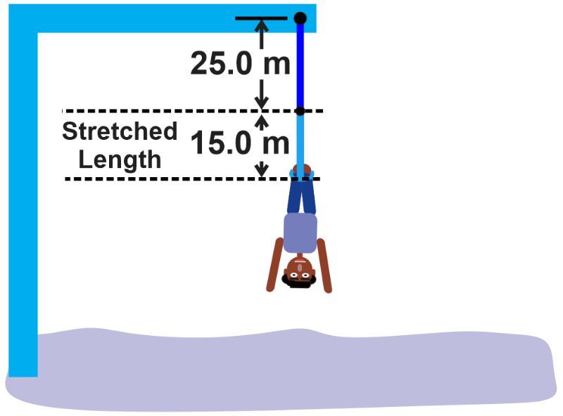 Illustration of Alex bungee jumping, showing fall distance and cord stretch.