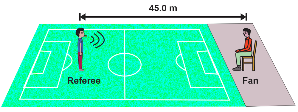 Referee blowing a whistle on a soccer field, 45 m from a seated fan.