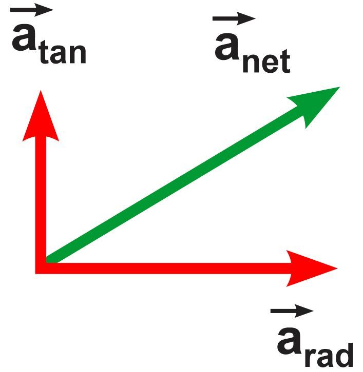 Vector diagram illustrating tangential, radial, and net acceleration for a bicyclist.