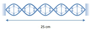 Illustration of a standing wave with a wavelength of 25 cm, showing wave oscillations.
