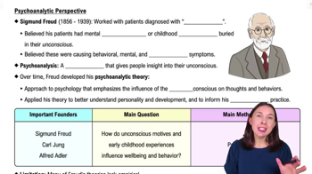 Psychoanalytic Perspective