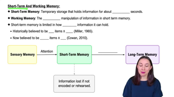 Short-Term And Working Memory