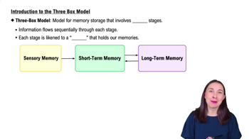 Introduction to the Three Box Model