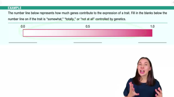 Genes and Environment Example 2