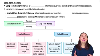 Long-Term Memory