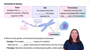 Introduction to Genetics