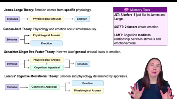 Summary of The Four Theories