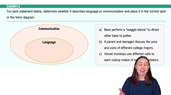 The Structure of Language Example 1