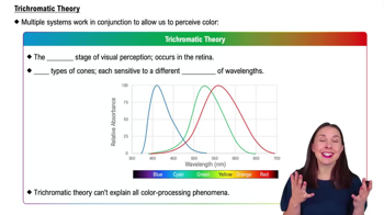 Trichromatic Theory