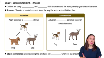 Step 1: Sensorimotor (Birth - 2 Years)