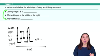 Sleep Example 5