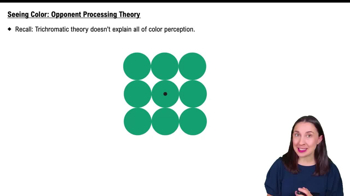 Opponent Process Theory