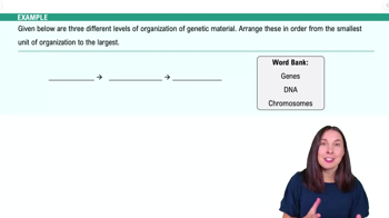 Genes and Environment Example 1