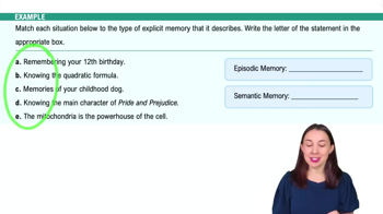 Storage - The Three Box Model of Memory Example 4